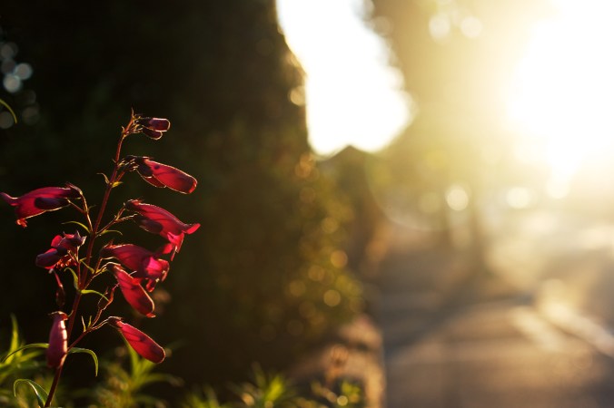 photo by Nana B Agyei