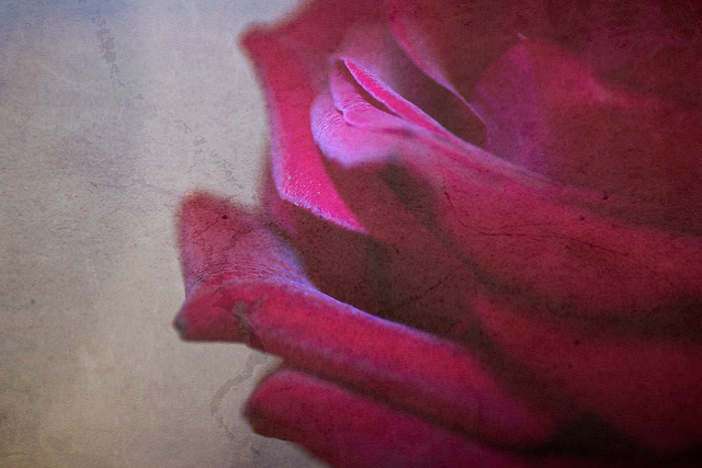 photo credit | Nana B Agyei